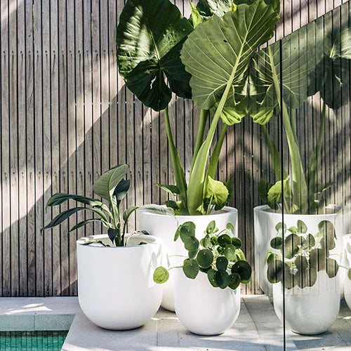 Straight Up Garden Pot